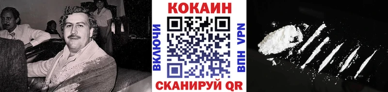 Купить где  Гусиноозёрск  Кокаин FishScale 