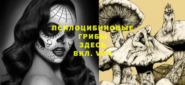герыч Дмитриев