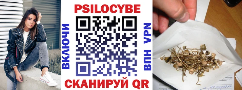 Купить  Гусиноозёрск  Псилоцибиновые грибы мицелий 